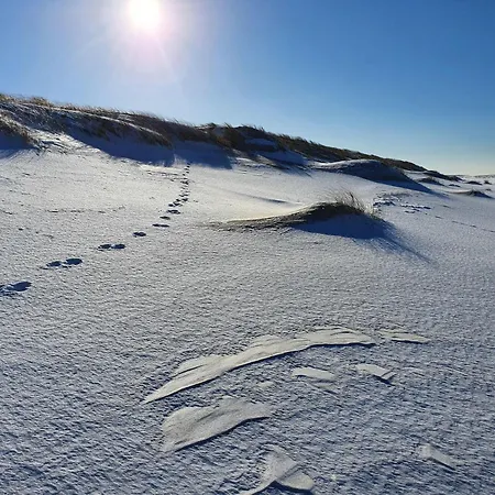 Comfortable Home, Private Garden, Sauna *