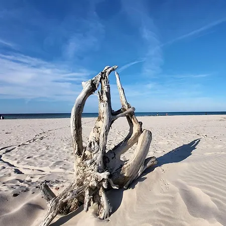 Comfortable Home, Private Garden, Sauna Smołdzino