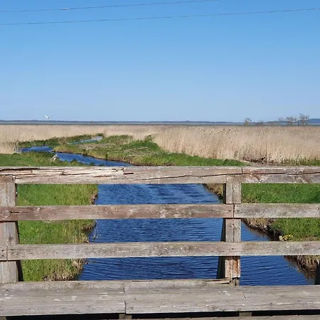 Comfortable Home, Private Garden, Sauna