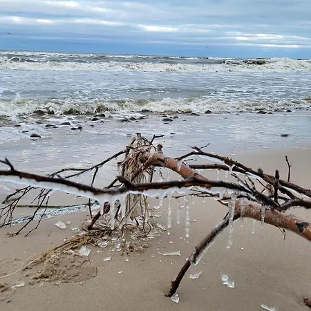 Comfortable Home, Private Garden, Sauna