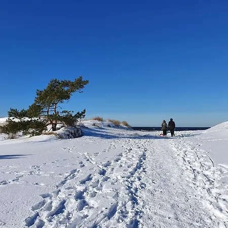 Comfortable Home, Private Garden, Sauna *