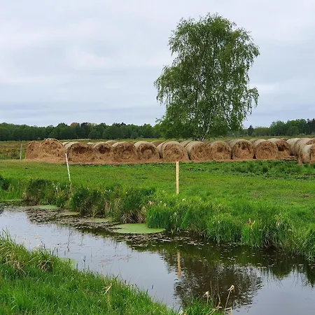 Comfortable Home, Private Garden, Sauna *