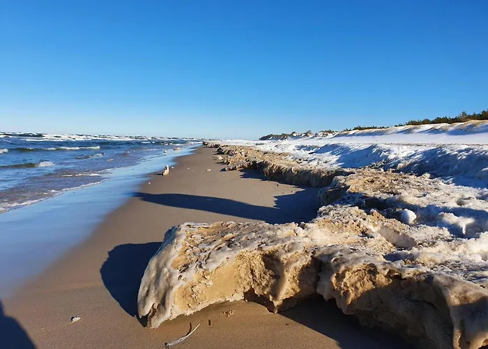 Comfortable Home, Private Garden, Sauna *