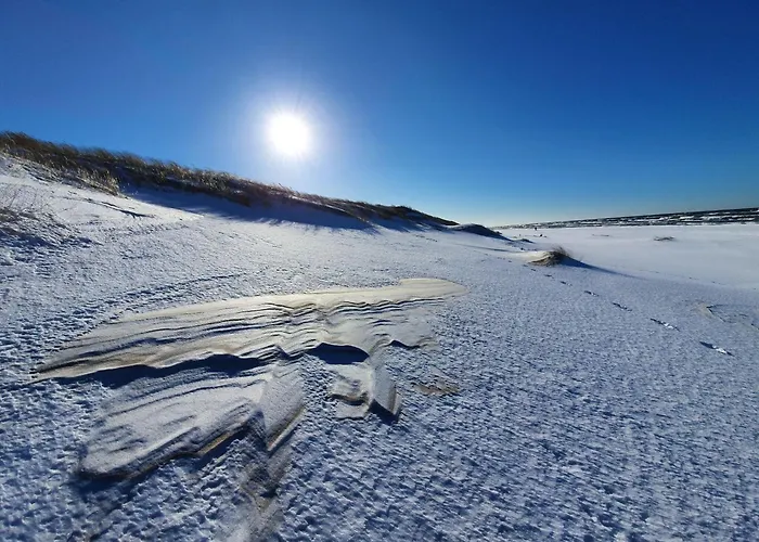 Comfortable Home, Private Garden, Sauna בית נופש