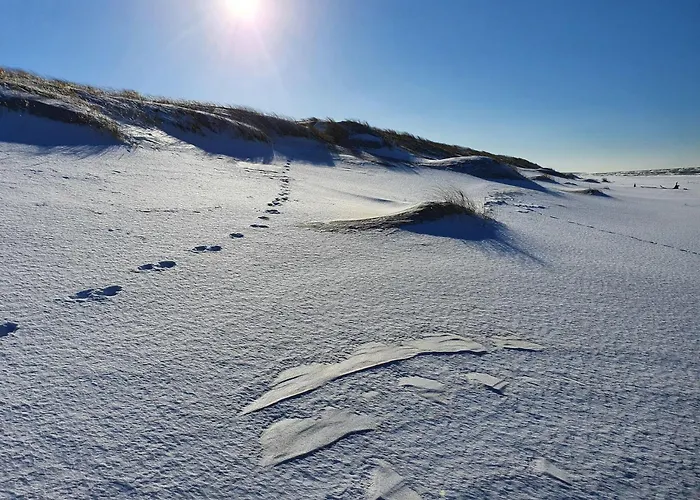 Comfortable Home, Private Garden, Sauna *