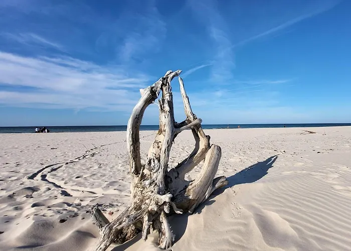 Comfortable Home, Private Garden, Sauna Smołdzino