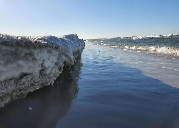 Comfortable Home, Private Garden, Sauna בית נופש