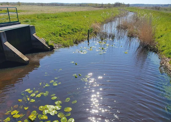 בית נופש Comfortable Home, Private Garden, Sauna Smołdzino