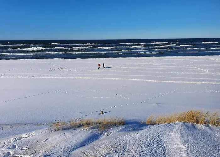 Comfortable Home, Private Garden, Sauna *