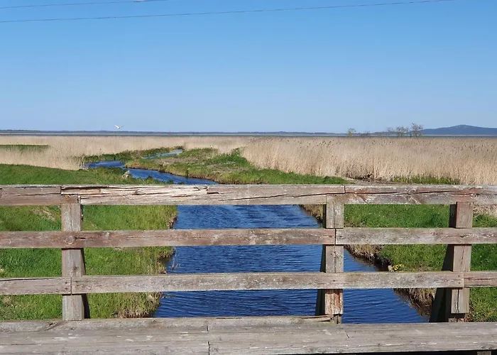 Comfortable Home, Private Garden, Sauna