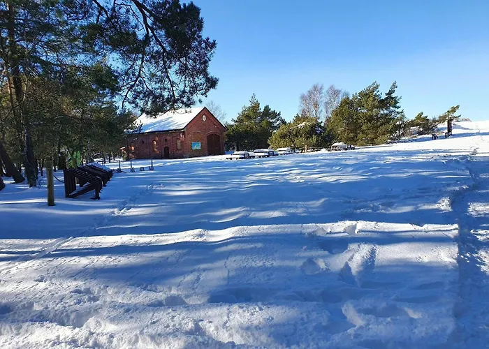 Comfortable Home, Private Garden, Sauna