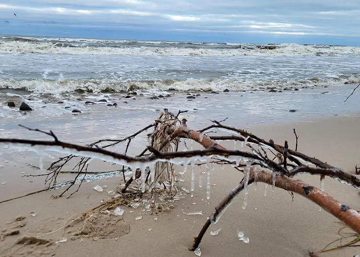 Comfortable Home, Private Garden, Sauna