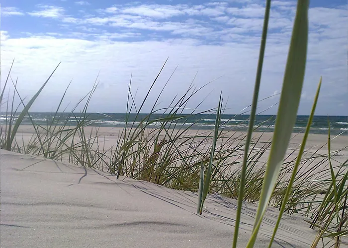 Comfortable Home, Private Garden, Sauna * Smołdzino