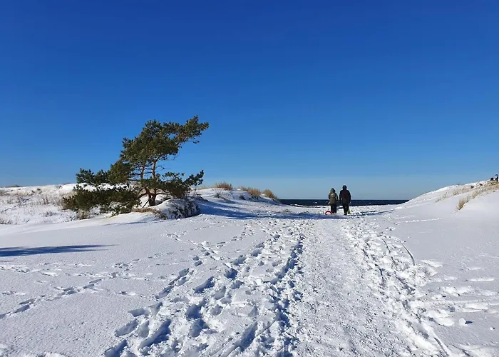 Comfortable Home, Private Garden, Sauna *