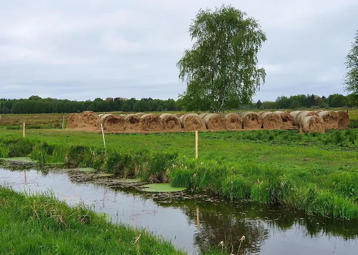 Comfortable Home, Private Garden, Sauna *